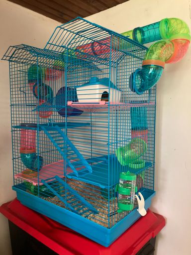 Cage petit rongeurs (souris, gerbille, hamster)