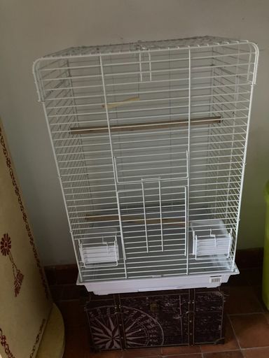 Cage oiseaux (perruches, perroquets ...)