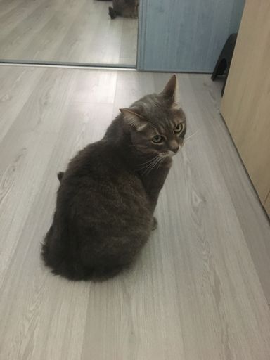 Garde à domicile
